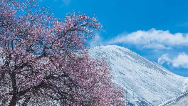 2025年3月8日 第23页