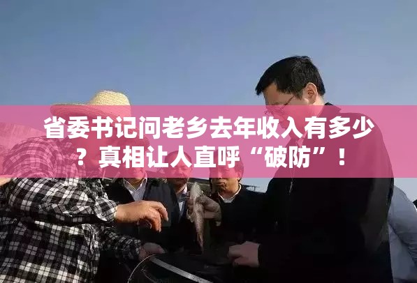 省委书记问老乡去年收入有多少？真相让人直呼“破防”！