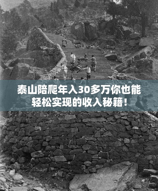 泰山陪爬年入30多万