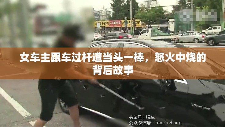 女车主跟车过杆遭当头一棒，怒火中烧的背后故事