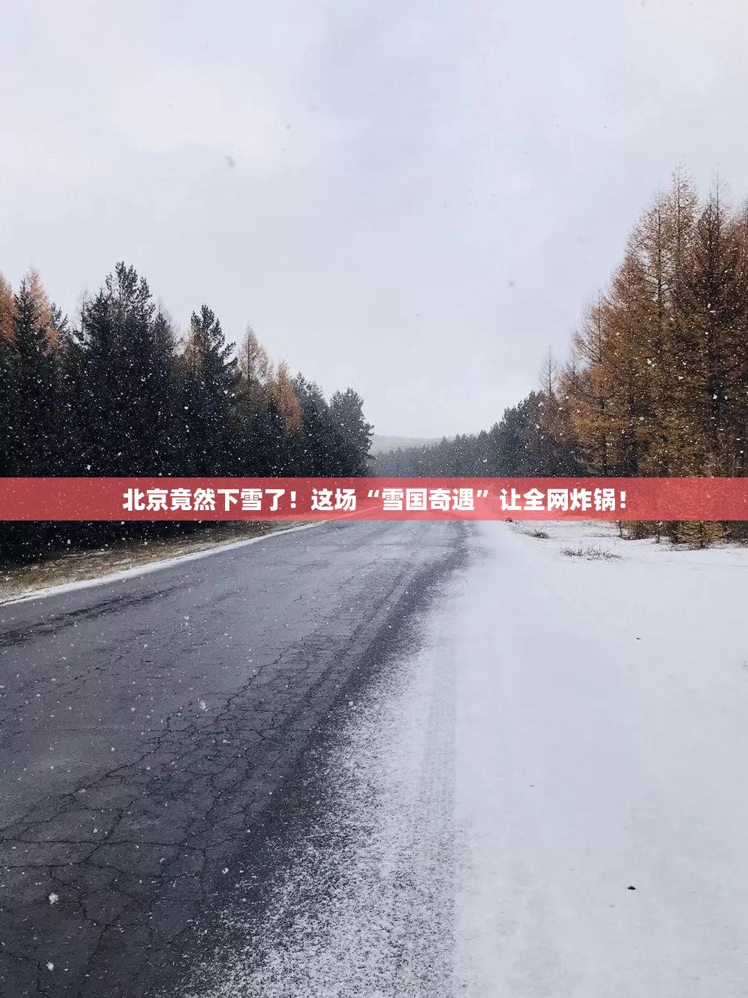 北京竟然下雪了！这场“雪国奇遇”让全网炸锅！