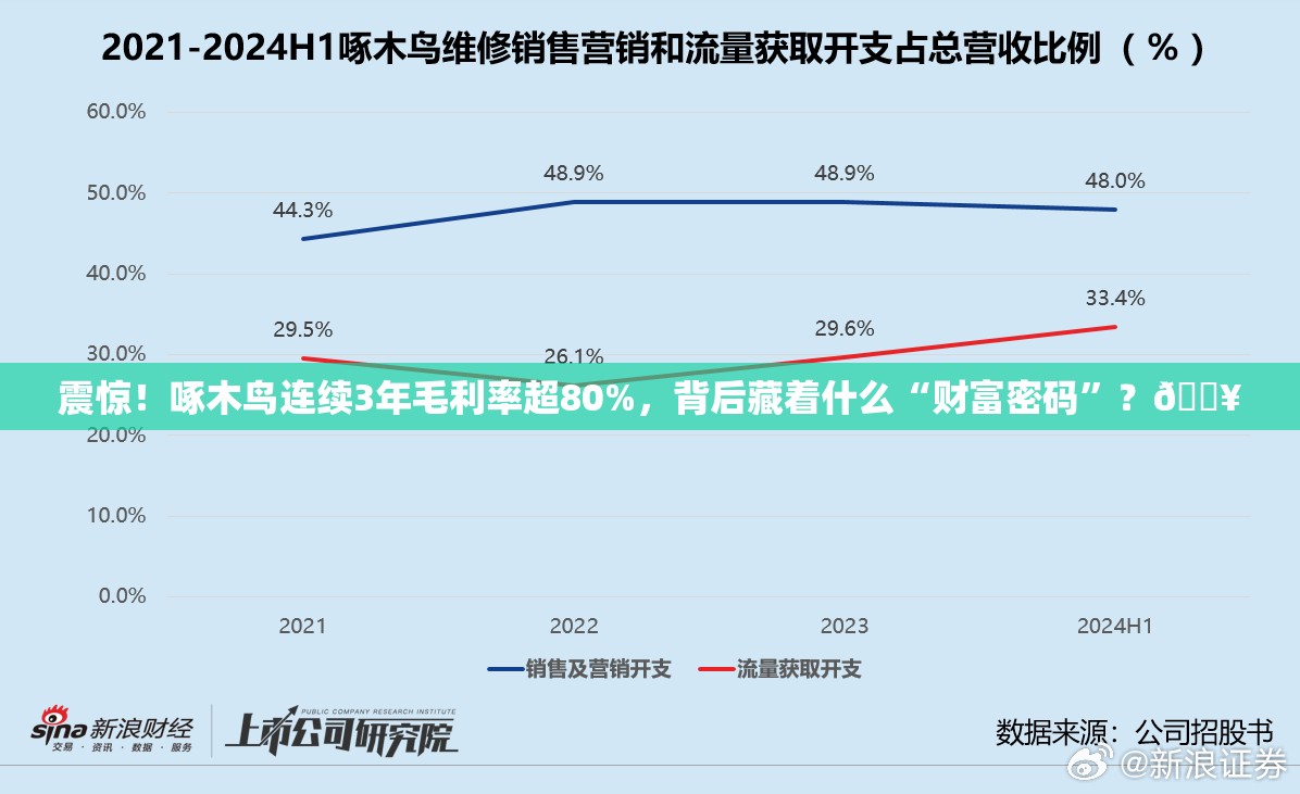 震惊！啄木鸟连续3年毛利率超80%，背后藏着什么“财富密码”？🔥