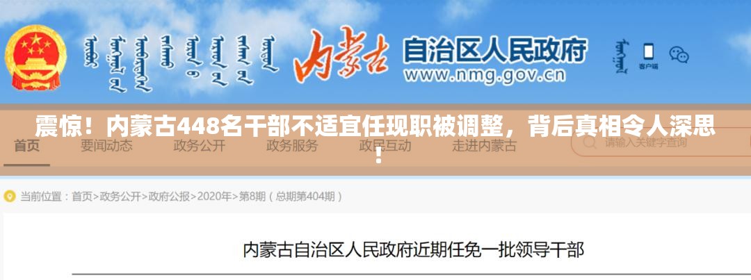 内蒙古448名干部不适宜任现职被调整