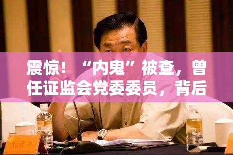 震惊！“内鬼”被查，曾任证监会党委委员，背后真相竟如此惊人！