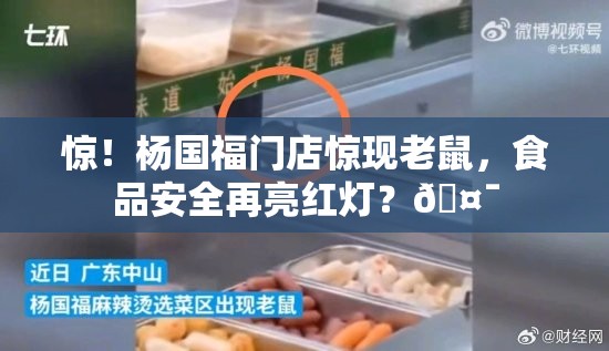 惊！杨国福门店惊现老鼠，食品安全再亮红灯？🤯