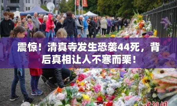 震惊！清真寺发生恐袭44死，背后真相让人不寒而栗！